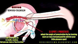 533 shemale porn videos