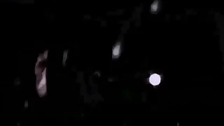 vintage erotic drawings